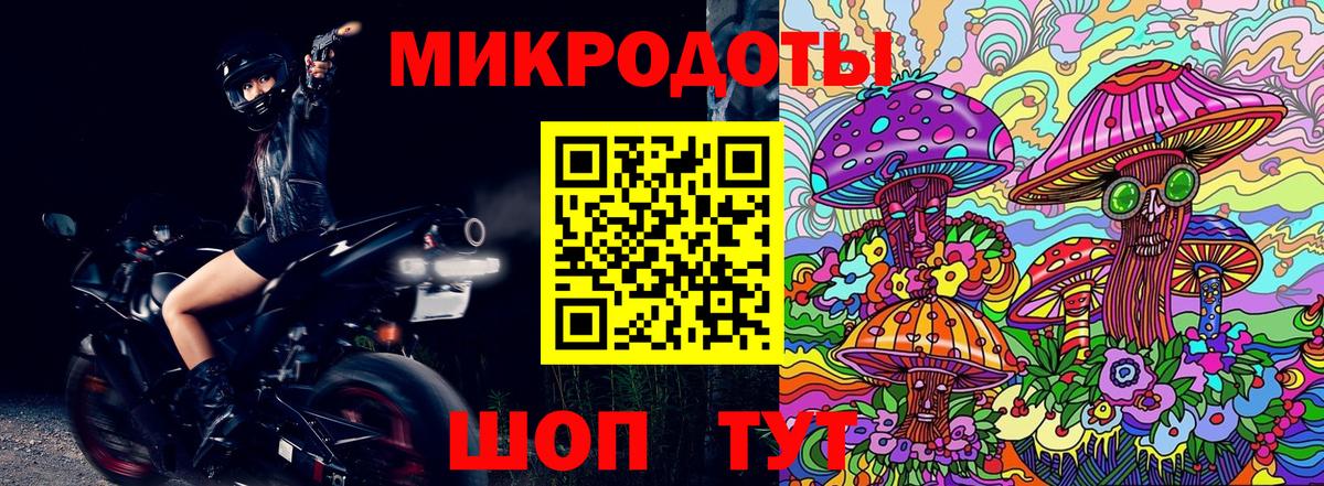 Псилоцибиновые грибы мухоморы Казань
