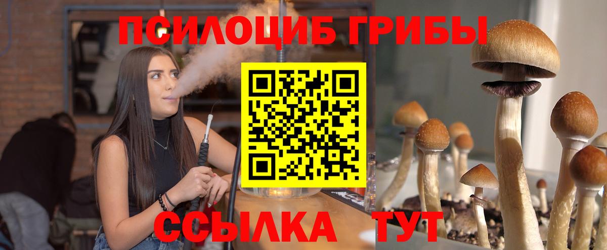 Псилоцибиновые грибы GOLDEN TEACHER  закладки  Казань  Вход с VPN 